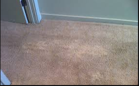 How to clean carpet bleach stains?